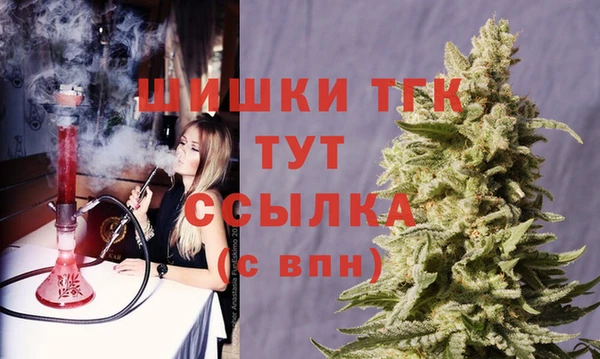спайс Няндома