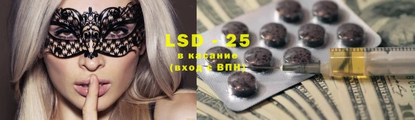 спайс Няндома