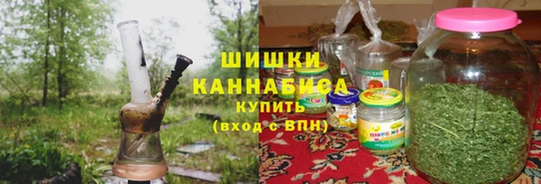 спайс Няндома