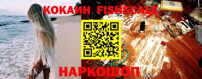 индика Гусев