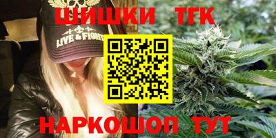 индика Гусев