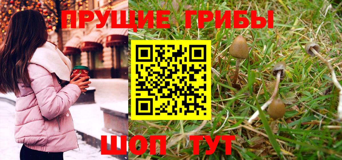Галлюциногенные грибы GOLDEN TEACHER Красноармейск